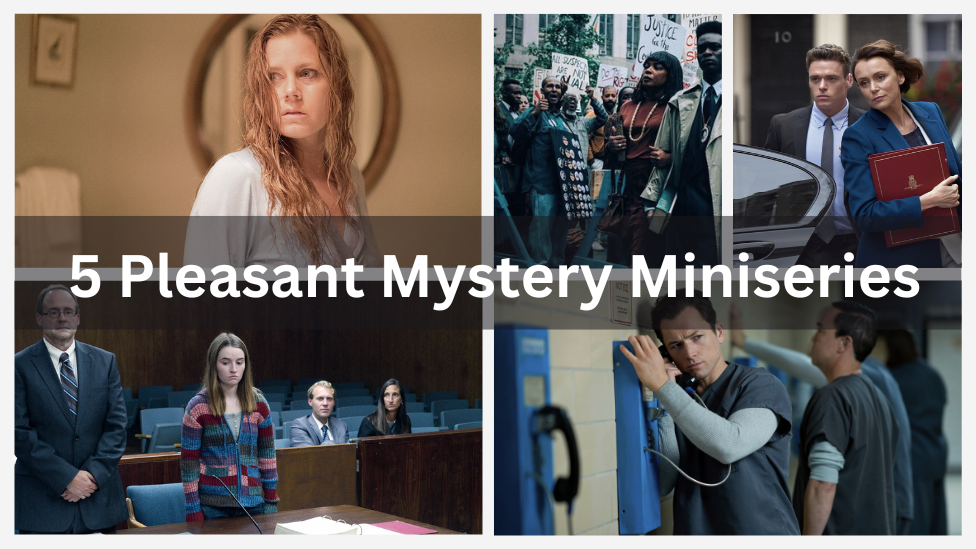 5 Pleasant Mystery Miniseries You want Had Run Longer